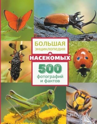 Большая энциклопедия о насекомых. 500 фотографий и фактов фото книги