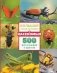 Большая энциклопедия о насекомых. 500 фотографий и фактов фото книги маленькое 2