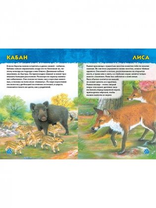 Животные мира. Первая энциклопедия дошкольника фото книги 5