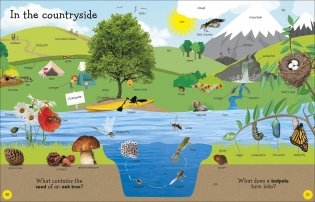 1000 Useful Words: Build Vocabulary and Literacy Skills фото книги 4