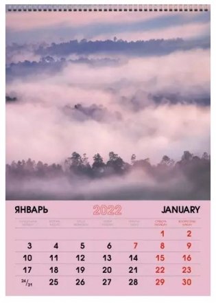 Календарь настенный перекидной на 2022 год "Природа. 3", 230х330 мм фото книги 3