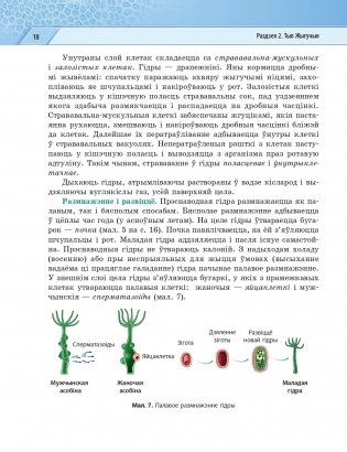 Біялогія. 8 клас фото книги 19