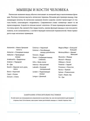 Анатомия лечебной растяжки фото книги 4