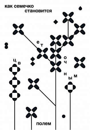Как семечко становится цветочным полем фото книги