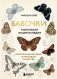 Бабочки! Маленькая энциклопедия. Обаятельная книжка о красивом существе фото книги маленькое 2