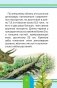 Удивительные динозавры фото книги маленькое 5