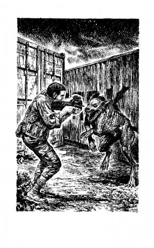 Странник фото книги 3