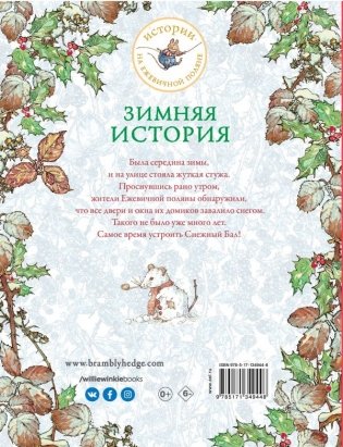 Зимняя история фото книги 2