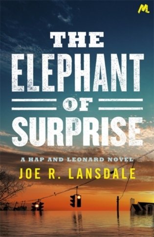 Elephant of Surprise фото книги