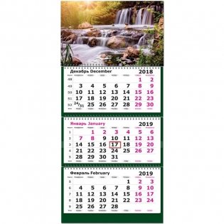 Календарь настенный трехблочный на 2019 год "Лесной водопад", 305х675 мм фото книги