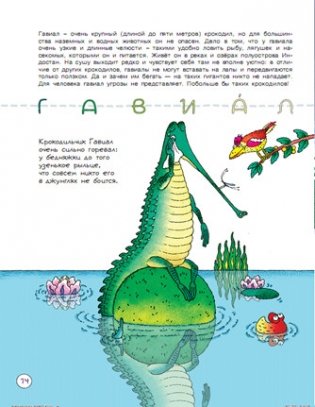 Зверология фото книги 4