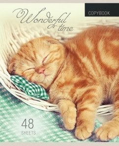Тетрадь "Котята и пледы", А5, 48 листов, клетка фото книги 5