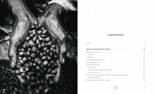 Философия кофе. От зерна до идеального напитка фото книги 2