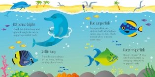 Under The Sea Matching Games And Book фото книги 3