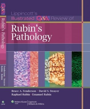 Lippincott&apos;s Illustrated Q&A Review of Rubin&apos;s Pathology фото книги