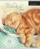 Тетрадь "Котята и пледы", А5, 48 листов, клетка фото книги маленькое 6