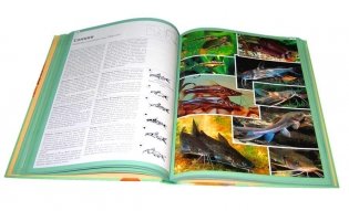 Атлас аквариумных рыб фото книги 3