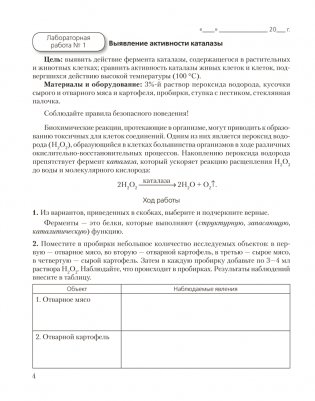 Биология. 11 класс. Тетрадь для лабораторных и практических работ (базовый уровень). ГРИФ фото книги 3