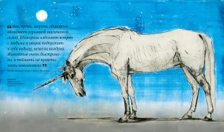 Фантастические твари. Природа чудес волшебного мира фото книги 9