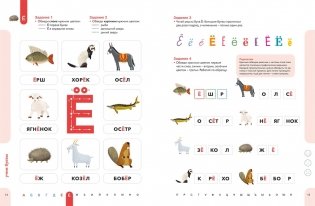 Буквы. Учимся уверенно узнавать буквы и слова. 5-6 лет фото книги 4