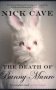 The Death of Bunny Munro фото книги маленькое 2
