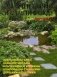 Альпинарии и камни в саду фото книги маленькое 2