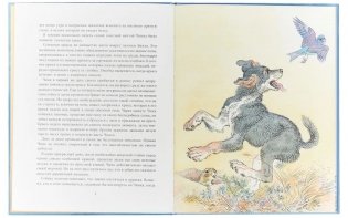 Арно фото книги 2