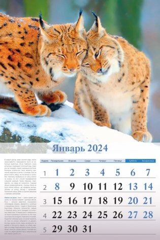 Календарь настенный перекидной на 2024 год "Особенности национальной охоты" (320х480 мм) на гребне с ригелем фото книги 4