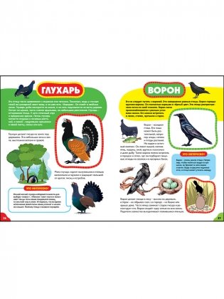 Птицы для малышей. Первая энциклопедия для самых маленьких фото книги 6