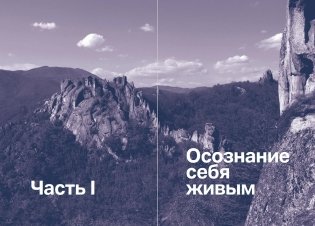 Один на один с жизнью: Книга, которая поможет найти смысл фото книги 15