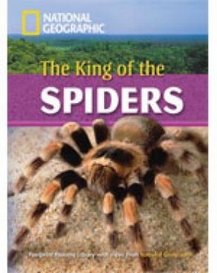 The King Of The Spiders (+ DVD) фото книги