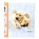 Фотоальбом "K.Kimberlin: F.Puppies" (20 листов) фото книги маленькое 2