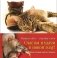 Кошка в дом - счастье в нем. Новогодний комплект из 4-х книг (количество томов: 4) фото книги маленькое 2