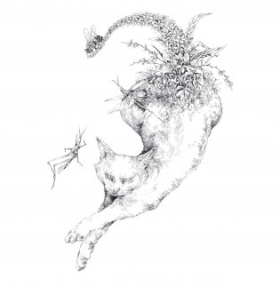 Скетчбук-раскраска. Мир поразительных существ Кэна Мацуды (белая с кроликом) фото книги 10
