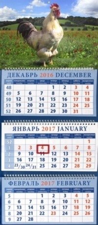 Календарь на 2017 год "Год петуха. Ку-ка-ре-ку!" фото книги