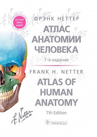 Атлас анатомии человека. 7-е изд фото книги