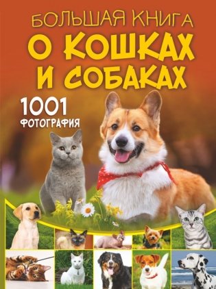 Большая книга о кошках и собаках. 1001 фотография фото книги