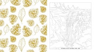 National parks coloring book фото книги 4