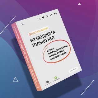 Из бюджета только кот. Книга о продвижении и прогревах в инстаграме фото книги 2