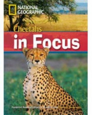Cheetahs in Focus фото книги