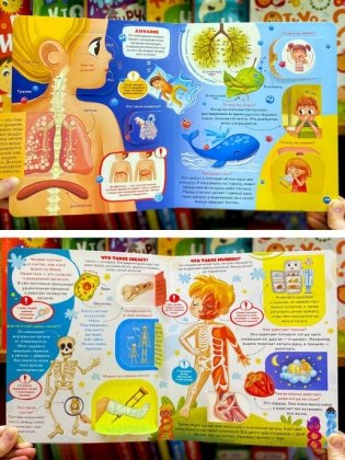 Как устроен человек? Книжка с окошками фото книги 6