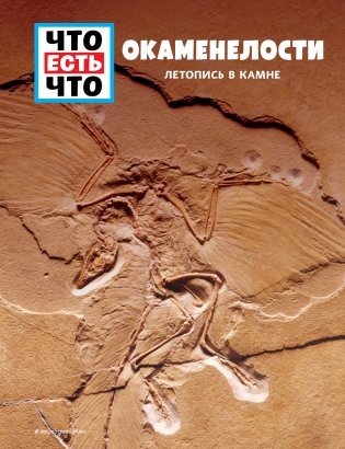 ОКАМЕНЕЛОСТИ. Летопись в камне фото книги