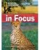 Cheetahs in Focus фото книги маленькое 2