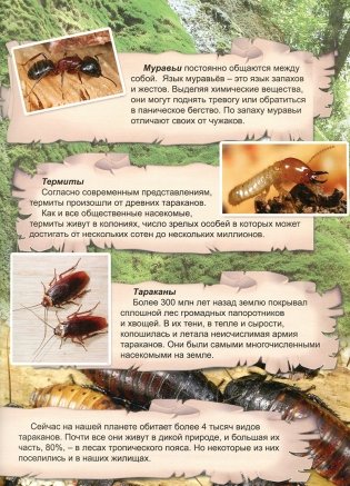 Удивительный мир насекомых. Атлас фото книги 4