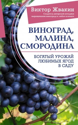 Виноград, малина, смородина. Богатый урожай любимых ягод в саду фото книги
