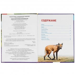 Энциклопедия. Животные разных континентов фото книги 2