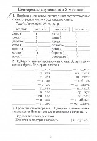 Русский язык. 4 класс. Тетрадь для закрепления знаний фото книги 2