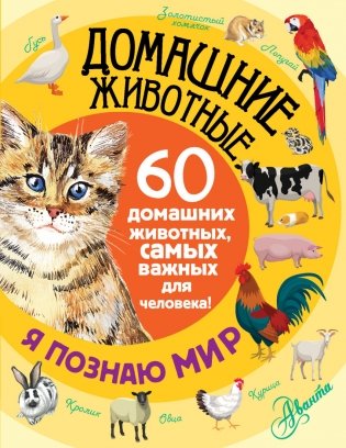 Домашние животные фото книги