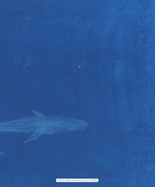Синий кит фото книги 8