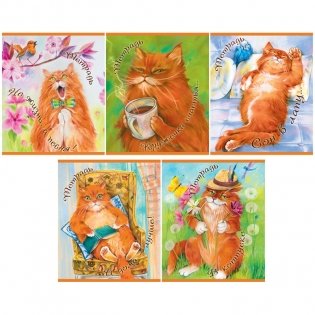 Тетрадь "Что я, рыжий, что ли!", 48 листов, А5, клетка фото книги